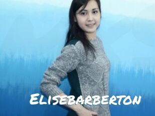 Elisebarberton