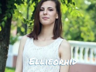 Ellieorhid