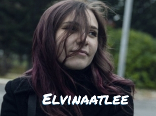 Elvinaatlee