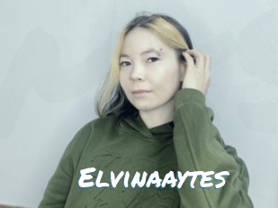 Elvinaaytes