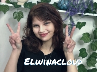 Elwinacloud