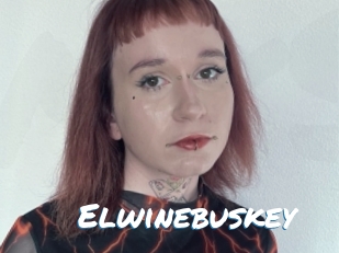 Elwinebuskey
