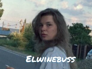 Elwinebuss