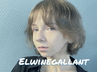 Elwinegallant