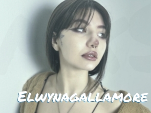 Elwynagallamore