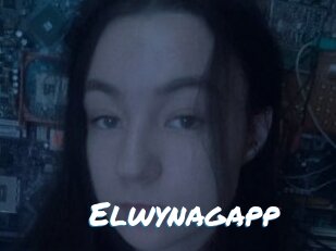 Elwynagapp