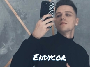Endycor