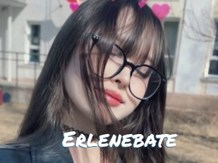 Erlenebate
