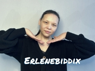 Erlenebiddix