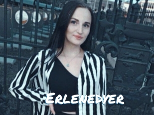 Erlenedyer