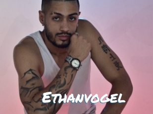 Ethanvogel