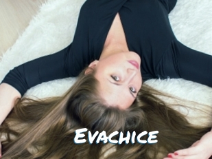 Evachice