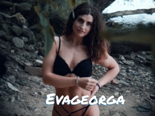 Evageorga