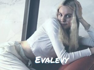 Evalevy