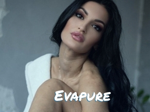 Evapure