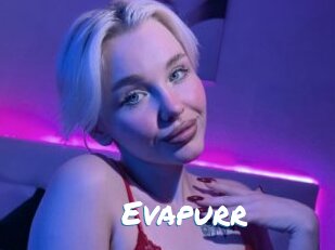 Evapurr