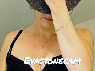 Evastonecam