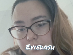Eviedash