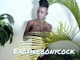 Exoticebonycock