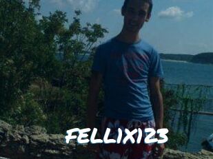 FELL1X123