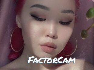 FactorCam