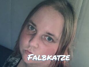 Falbkatze