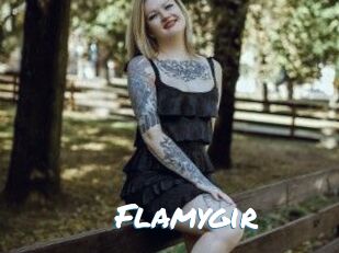 Flamygir Max 50