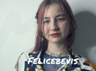 Felicebevis