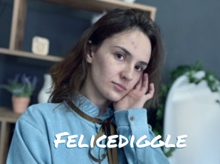 Felicediggle