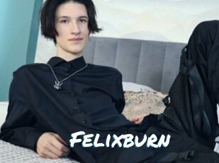Felixburn