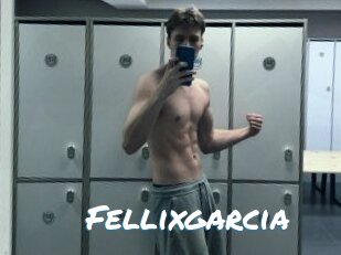 Fellixgarcia