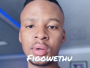 Figowethu
