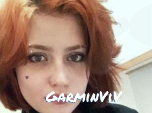 GarminViV