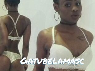 Gatubela_masc