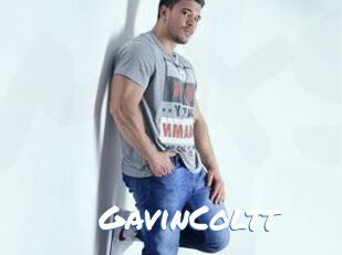 GavinColtt