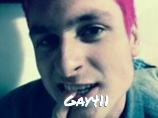 Gay411