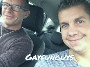 Gayfunguys