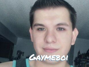 Gaymeboi