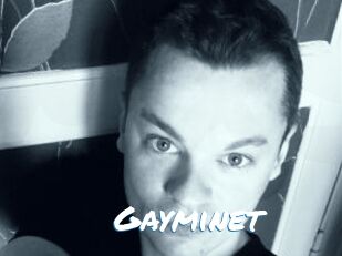 Gayminet