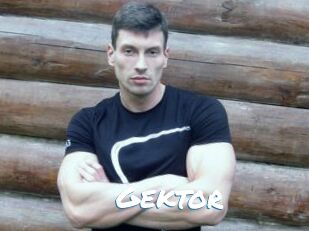 Gektor
