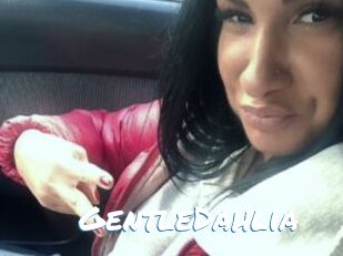 GentleDahlia