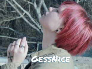GessNice