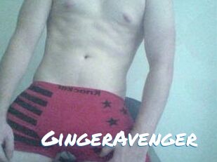 GingerAvenger