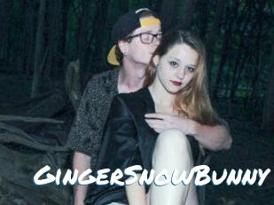 GingerSnowBunny