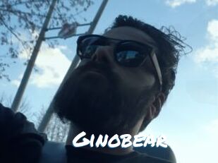 Ginobear