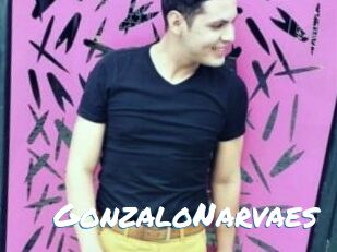 GonzaloNarvaes