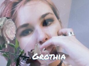 Grothia