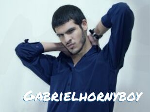 Gabrielhornyboy