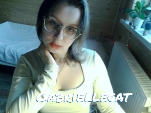 Gabriellecat