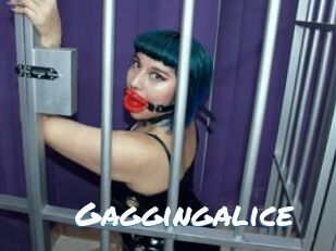 Gaggingalice